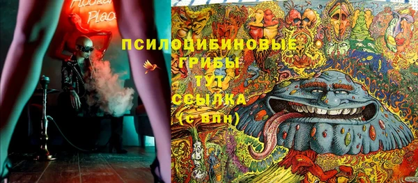 мяу мяу мука Коряжма
